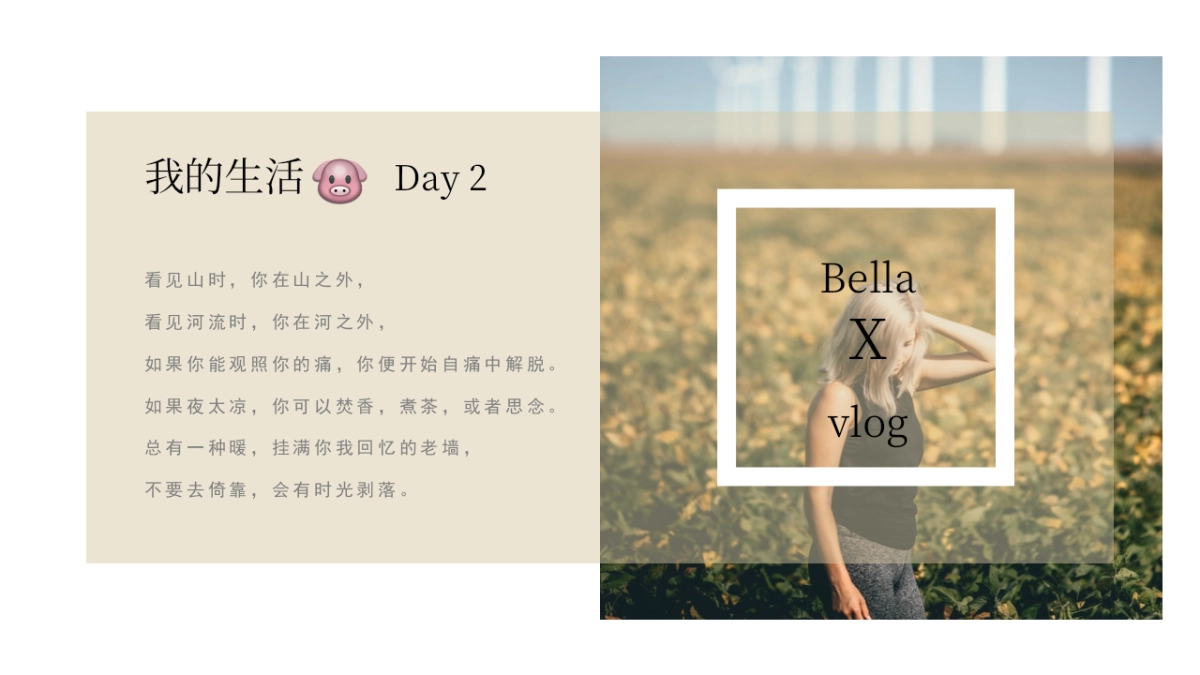 高端莫兰迪风格PPT模板29_第9页