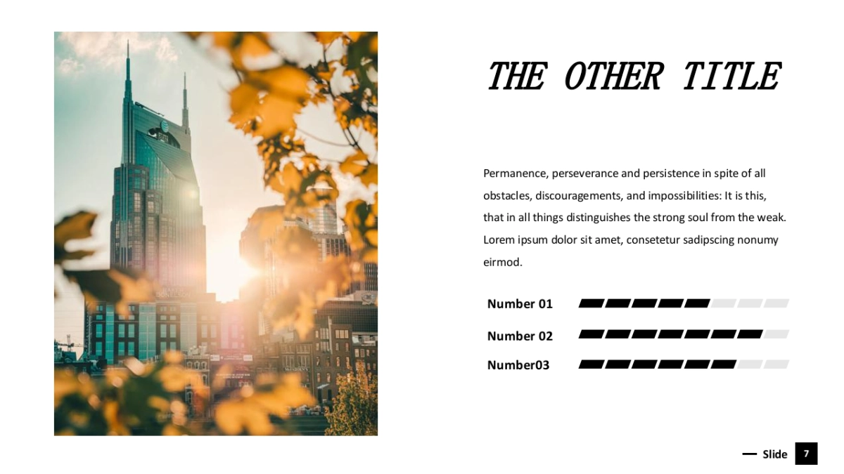 高端莫兰迪风格PPT模板36_第7页