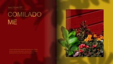 高端莫兰迪风格PPT模板42