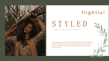 高端莫兰迪风格PPT模板44