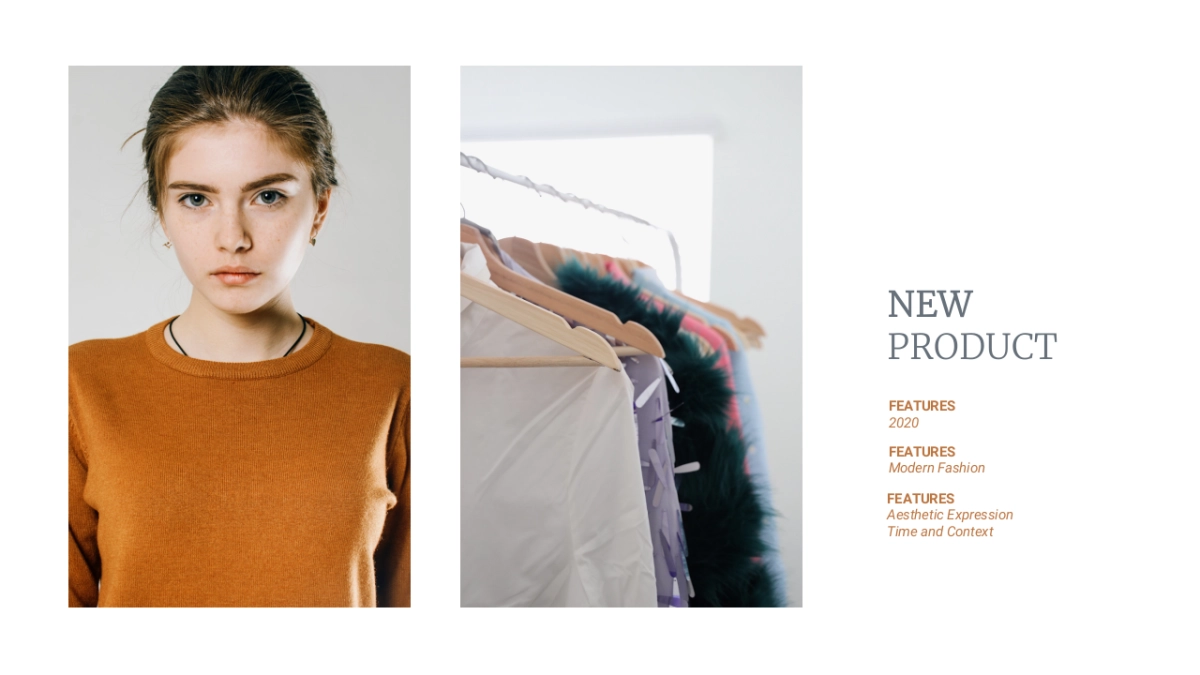 高端莫兰迪风格PPT模板45_第5页