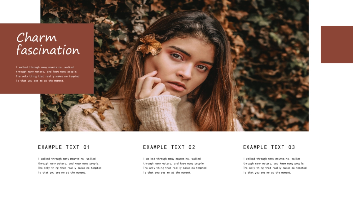 高端莫兰迪风格PPT模板48_第3页