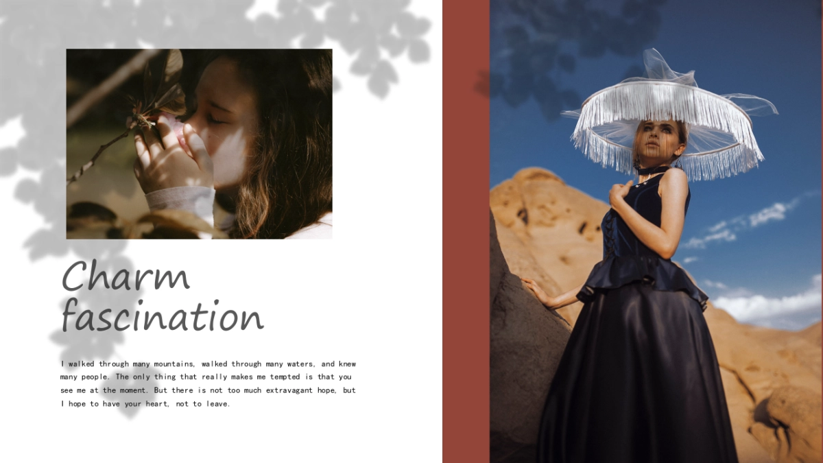 高端莫兰迪风格PPT模板48_第4页