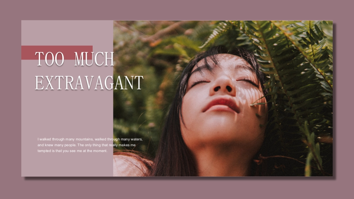 高端莫兰迪风格PPT模板49_第1页