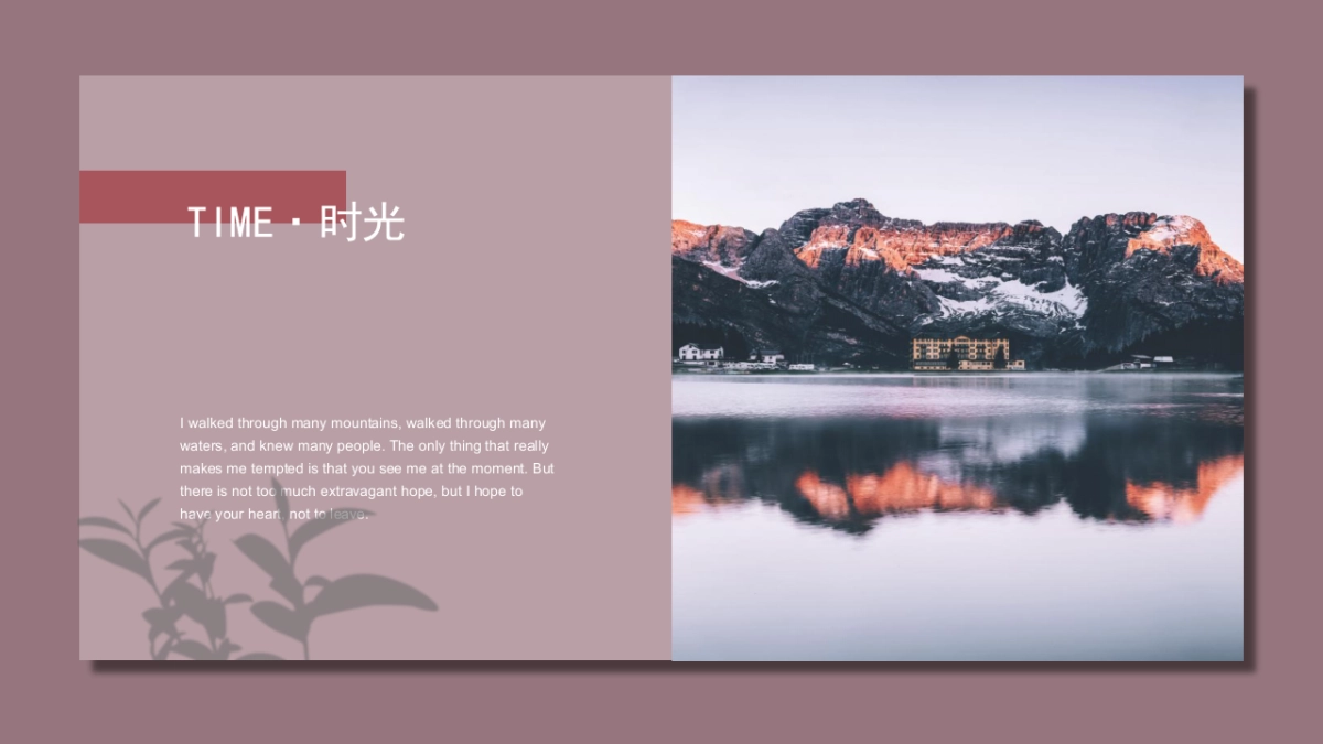 高端莫兰迪风格PPT模板49_第5页