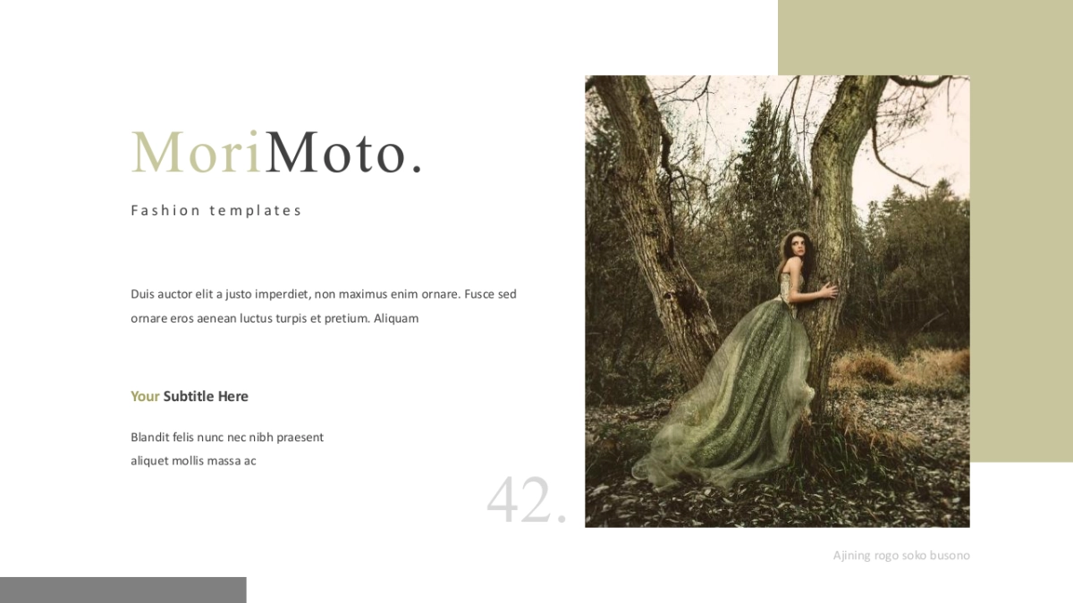 高端莫兰迪风格PPT模板50_第4页