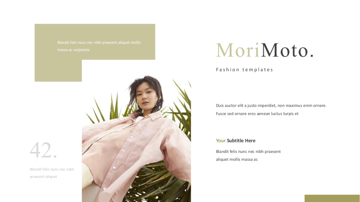 高端莫兰迪风格PPT模板50_第7页