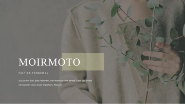 高端莫兰迪风格PPT模板50