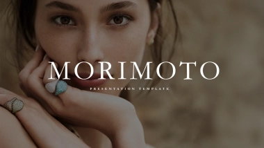 高端莫兰迪风格PPT模板51