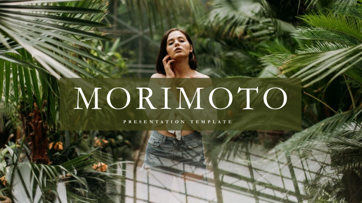 高端莫兰迪风格PPT模板53_第1页