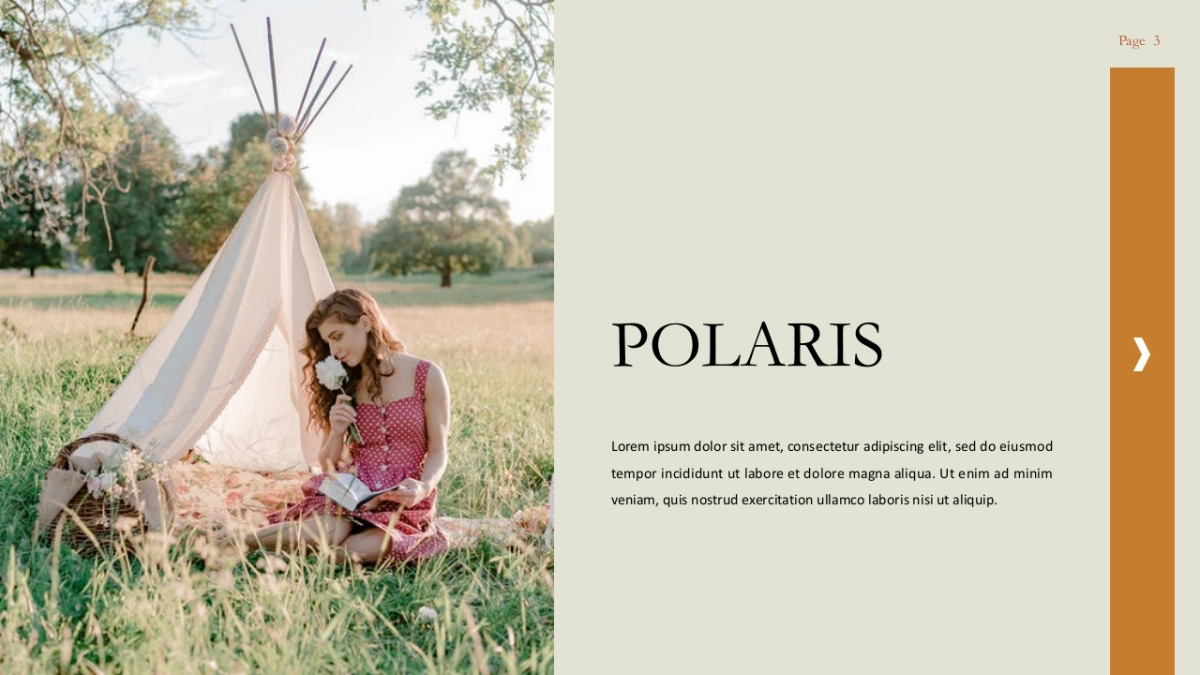 高端莫兰迪风格PPT模板53_第3页