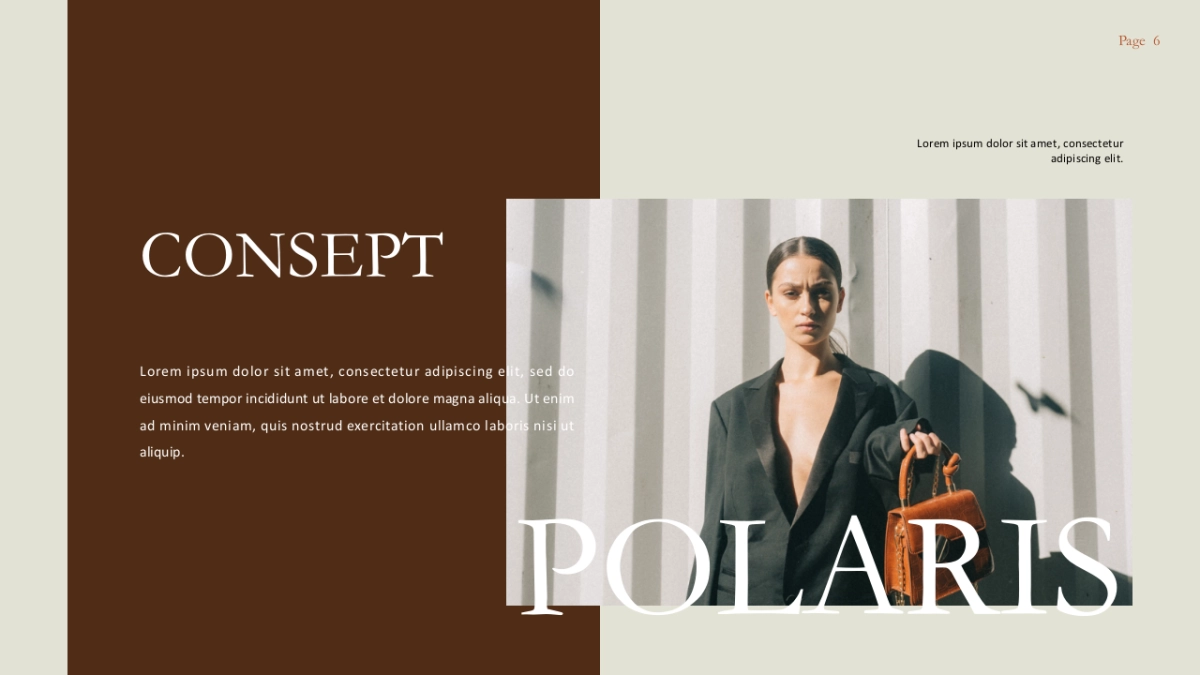 高端莫兰迪风格PPT模板53_第6页