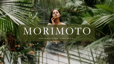 高端莫兰迪风格PPT模板53