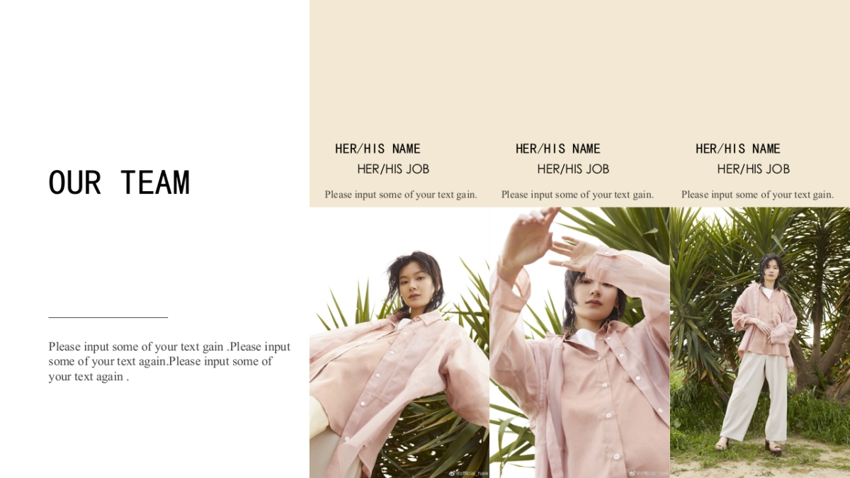 高端莫兰迪风格PPT模板54_第4页