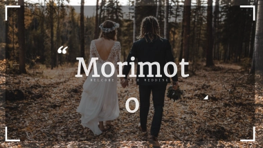 高端莫兰迪风格PPT模板54