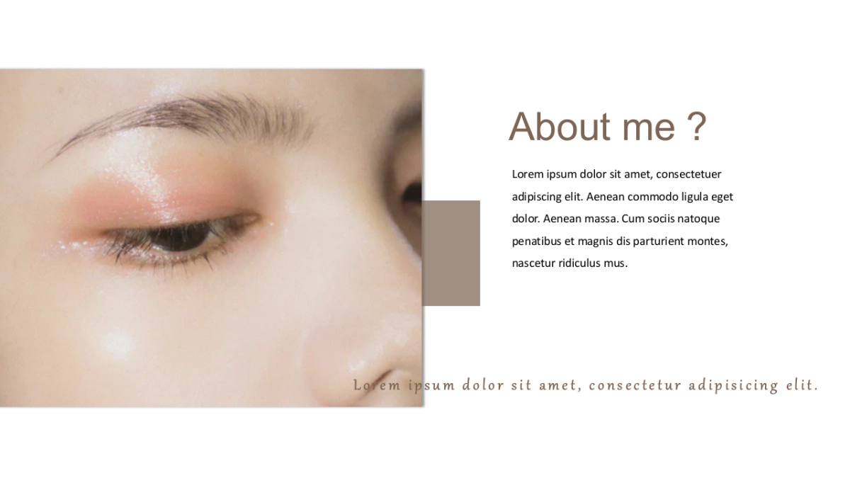 高端莫兰迪风格PPT模板55_第4页