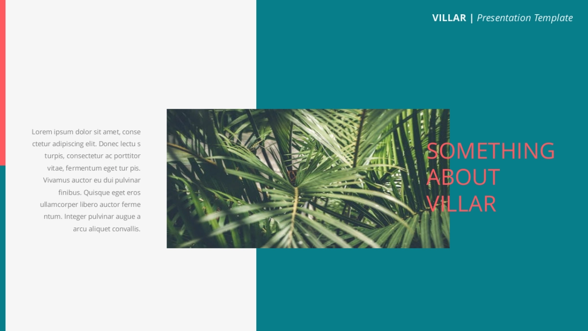 高端莫兰迪风格PPT模板64_第5页