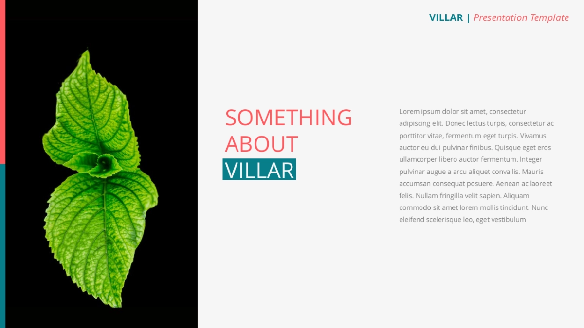 高端莫兰迪风格PPT模板64_第6页