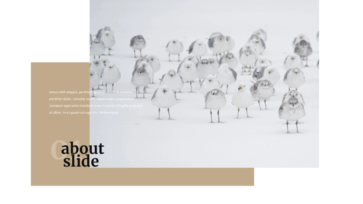 高端莫兰迪风格PPT模板65_第2页