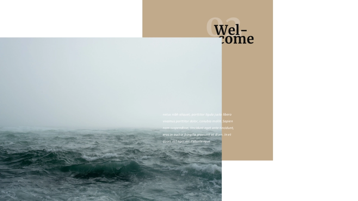 高端莫兰迪风格PPT模板65_第3页