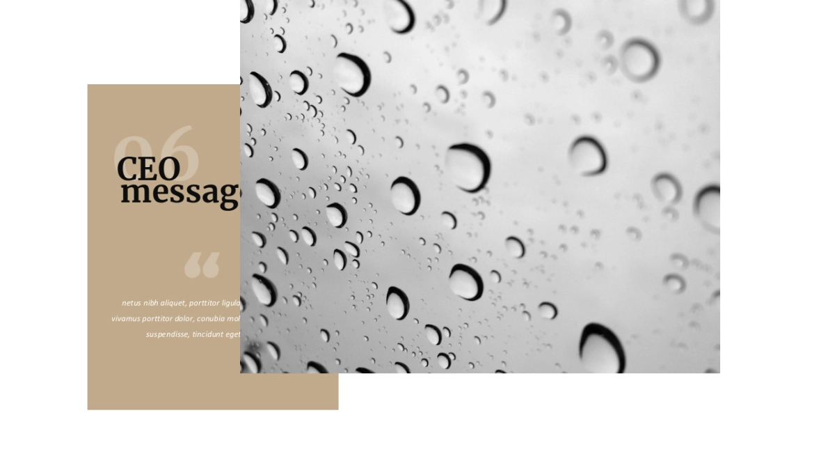 高端莫兰迪风格PPT模板65_第7页