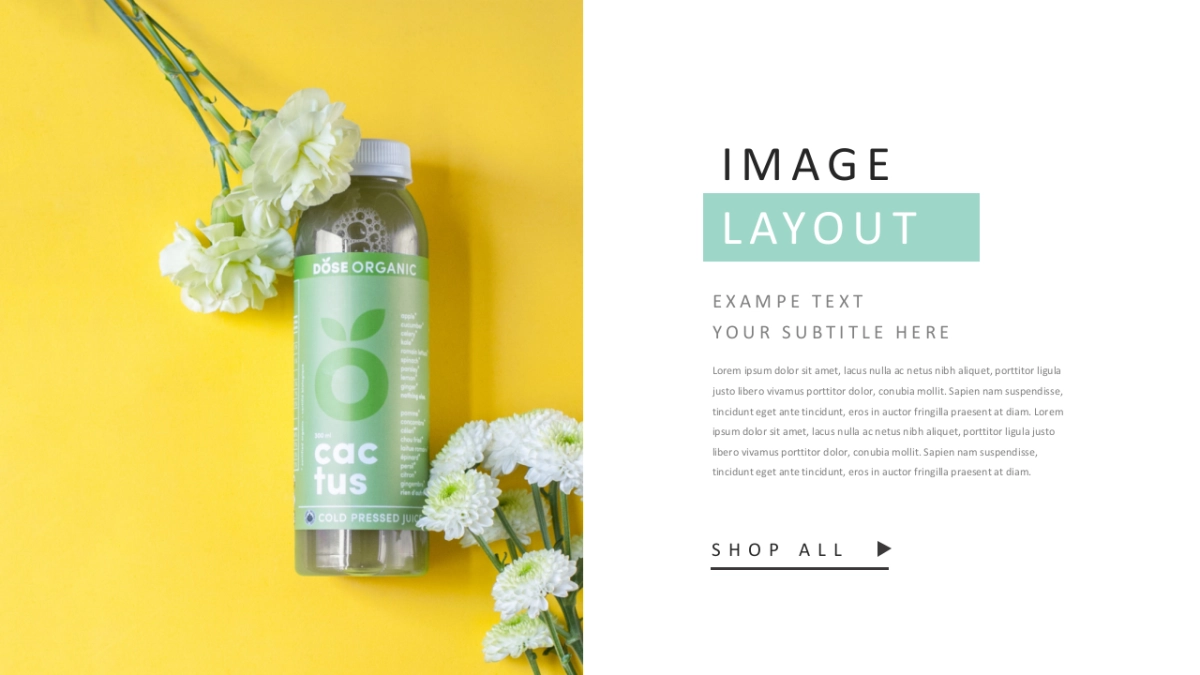 高端莫兰迪风格PPT模板68_第4页