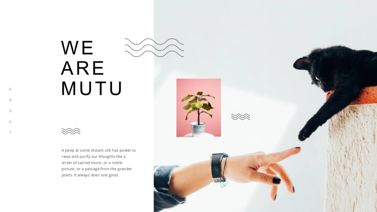 高端莫兰迪风格PPT模板73_第1页