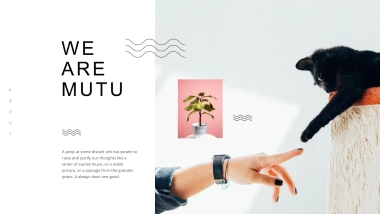 高端莫兰迪风格PPT模板73