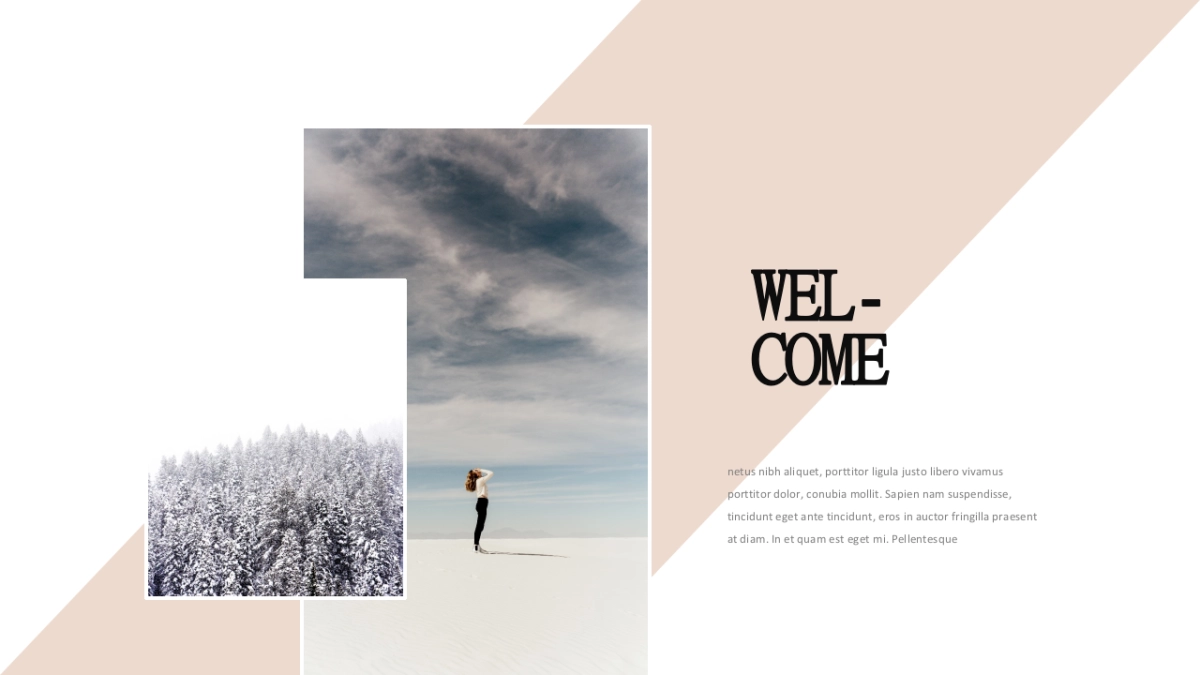 高端莫兰迪风格PPT模板74_第2页