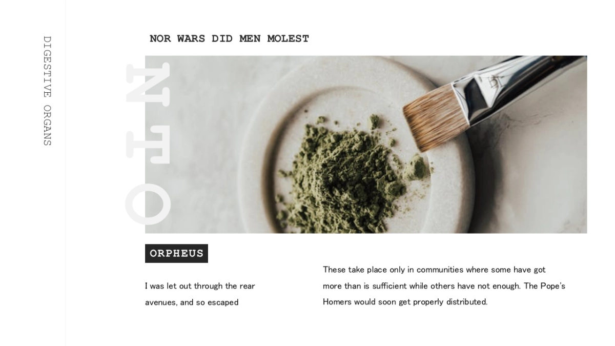 高端莫兰迪风格PPT模板76_第5页