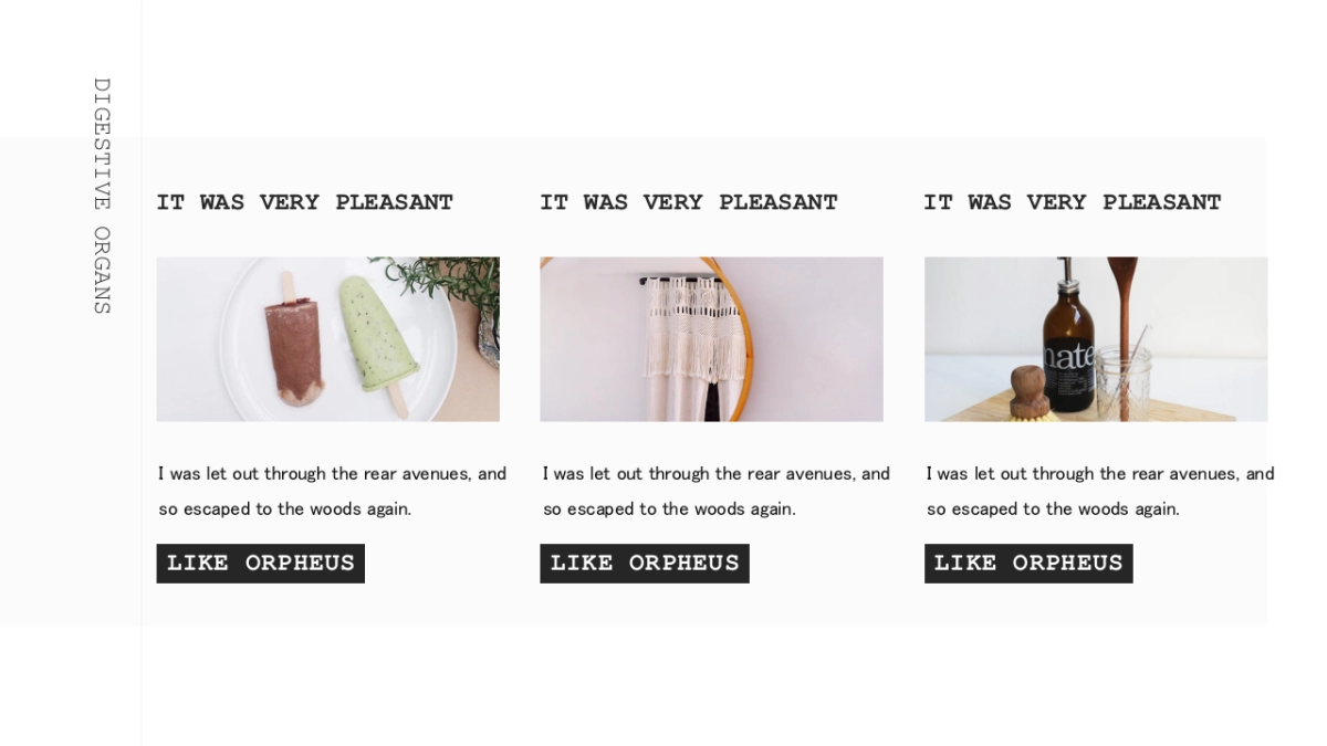 高端莫兰迪风格PPT模板76_第6页