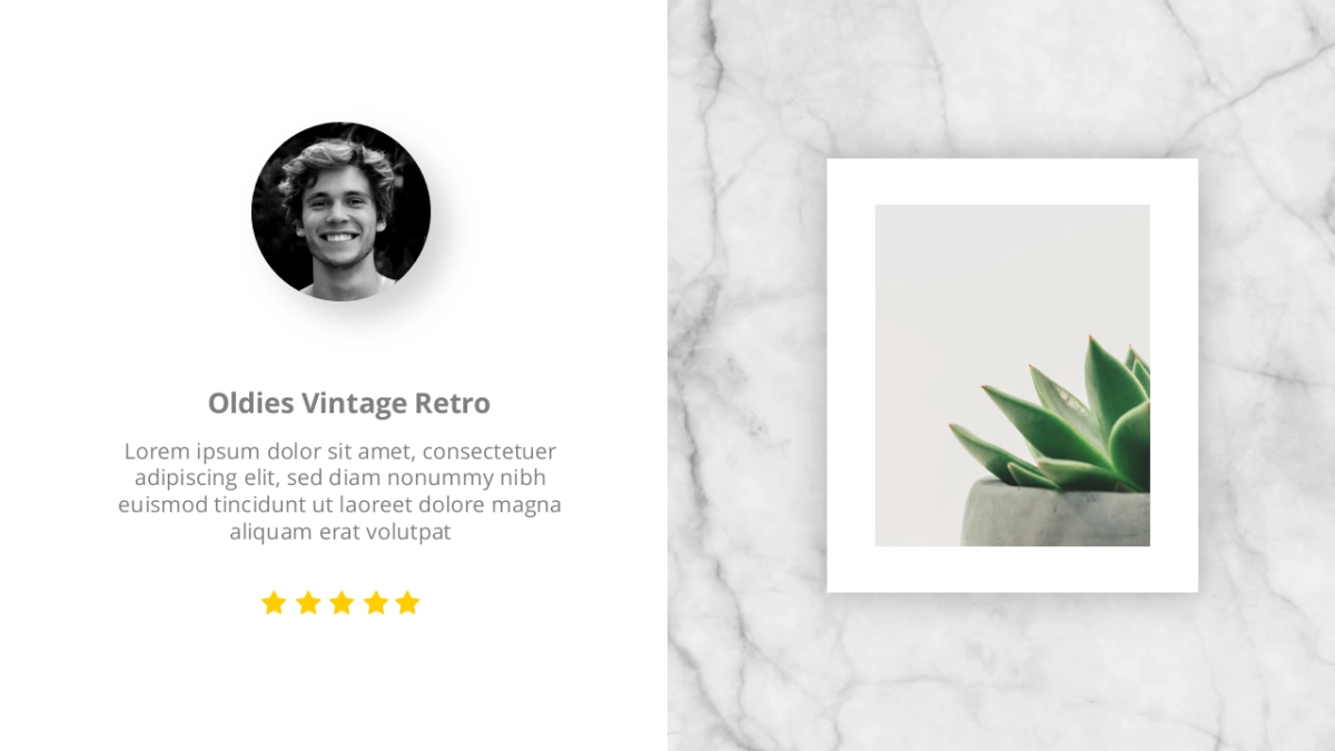 高端莫兰迪风格PPT模板77_第10页