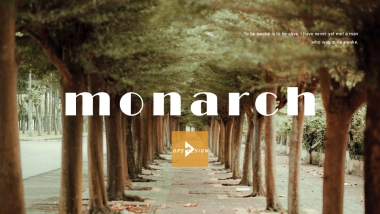 高端莫兰迪风格PPT模板78