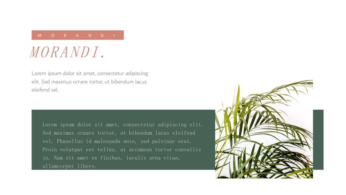 高端莫兰迪风格PPT模板82_第8页