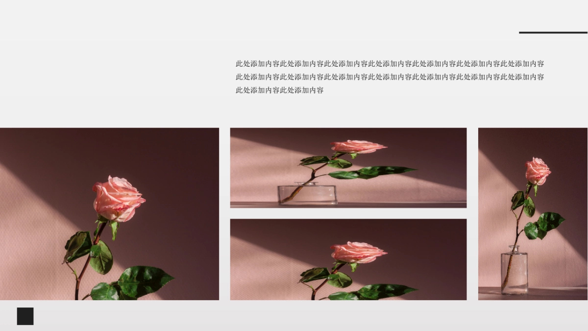 高端莫兰迪风格PPT模板86_第8页