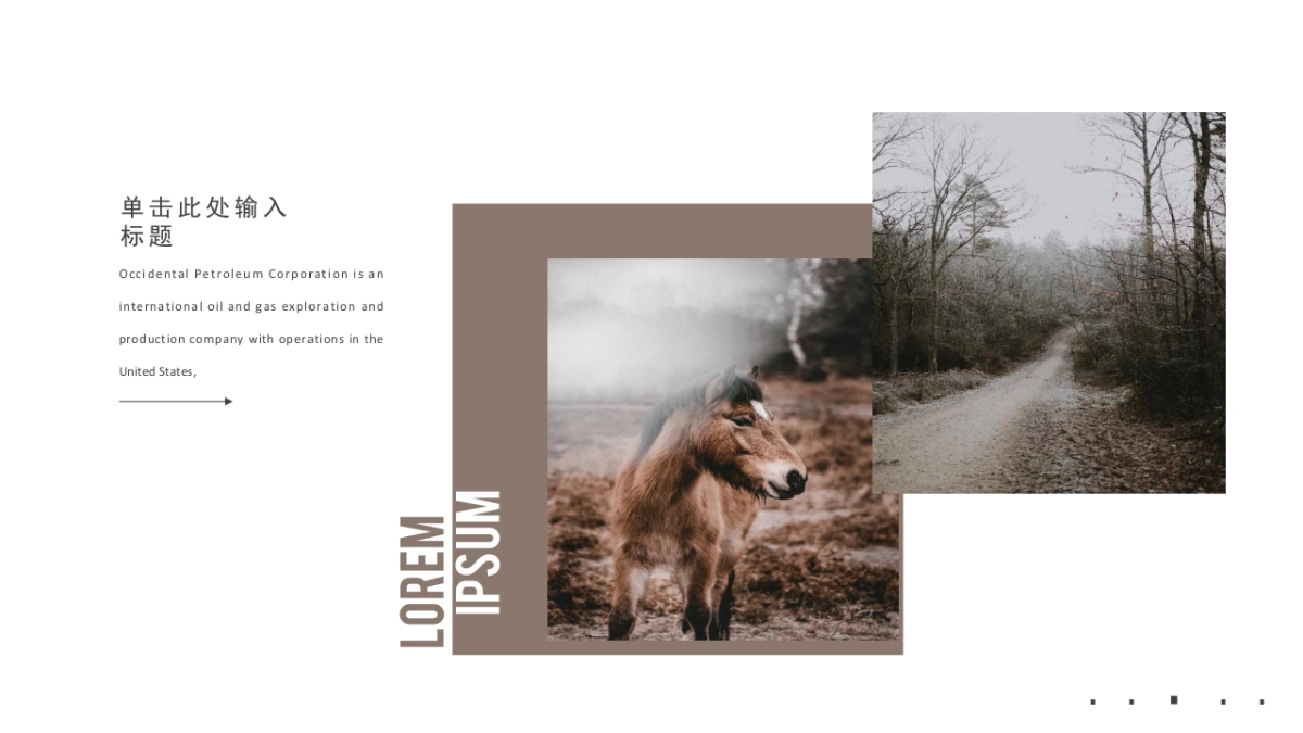 高端莫兰迪风格PPT模板87_第9页