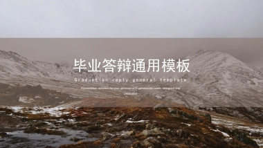 高端莫兰迪风格PPT模板87