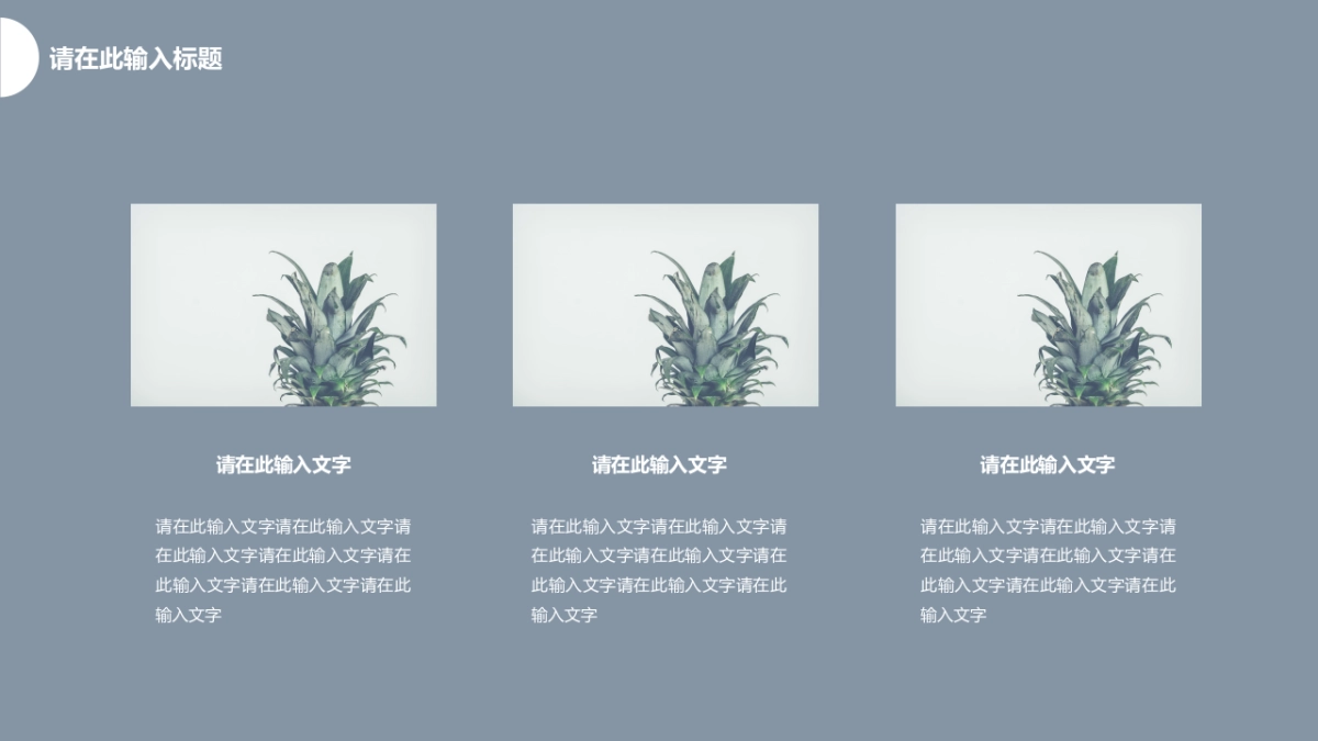 高端莫兰迪风格PPT模板91_第8页