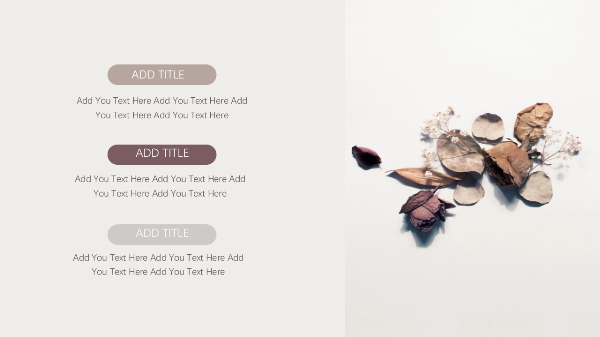 高端莫兰迪风格PPT模板93_第10页