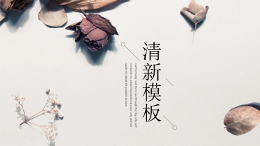 高端莫兰迪风格PPT模板93