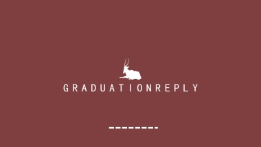 高端莫兰迪风格PPT模板97