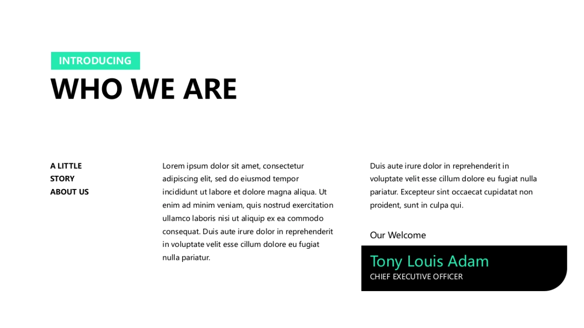 个性活力ppt-12_第3页