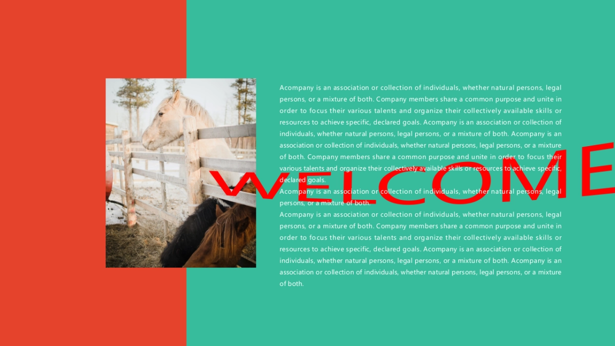 个性活力ppt-18_第2页