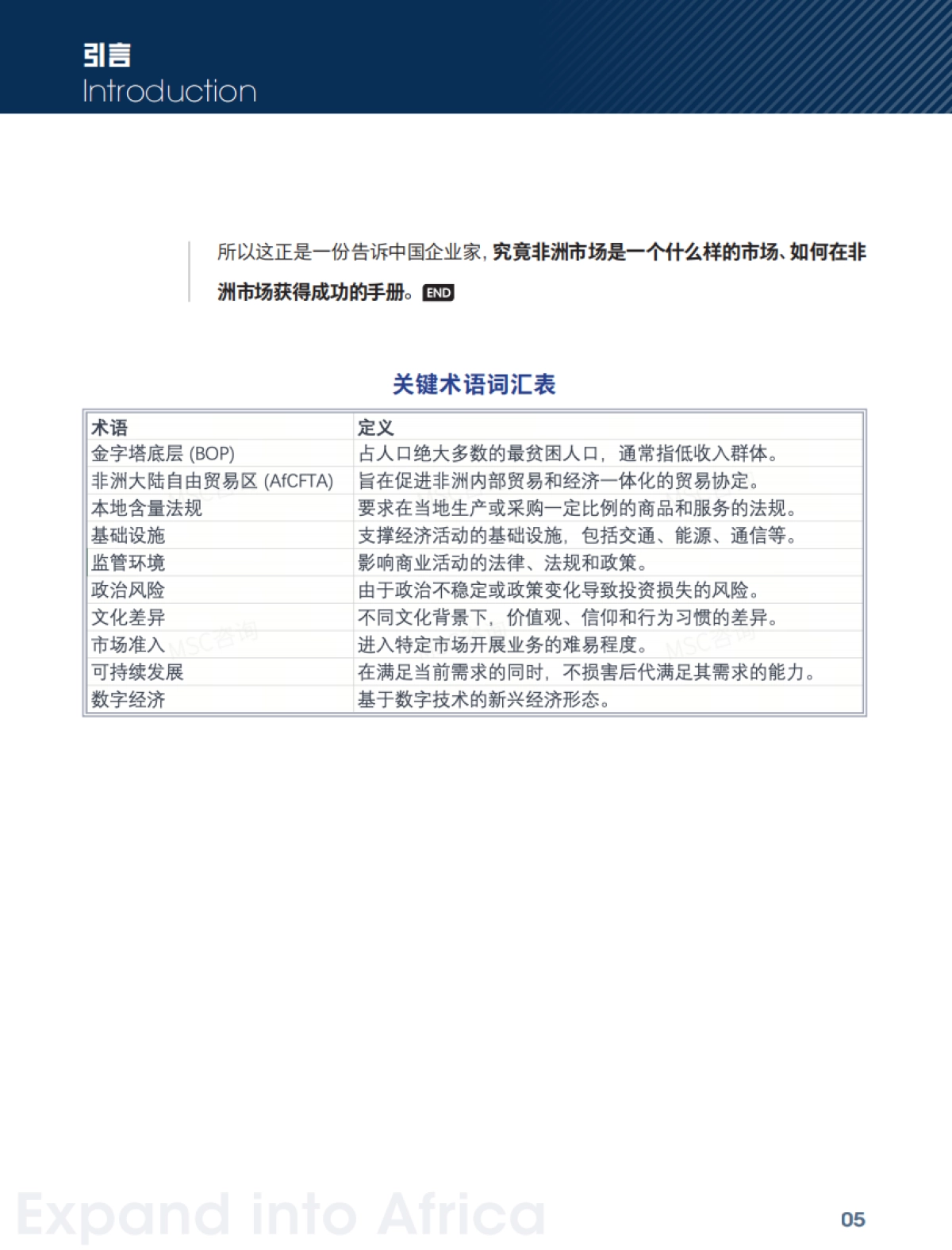出海非洲：再次看见金字塔底层的财富_第6页