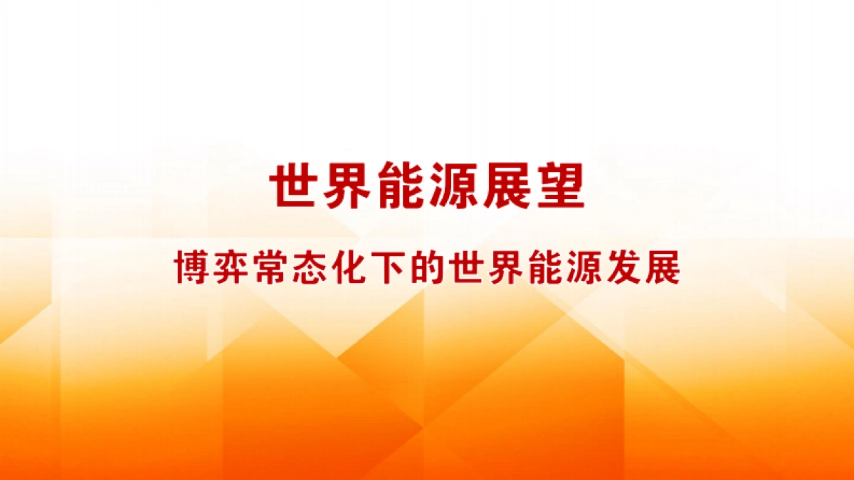 2060年世界和中国能源展望报告_第3页