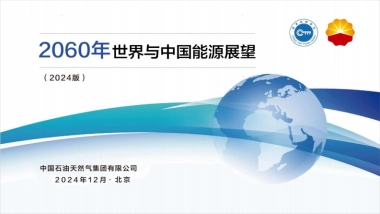 2060年世界和中国能源展望报告