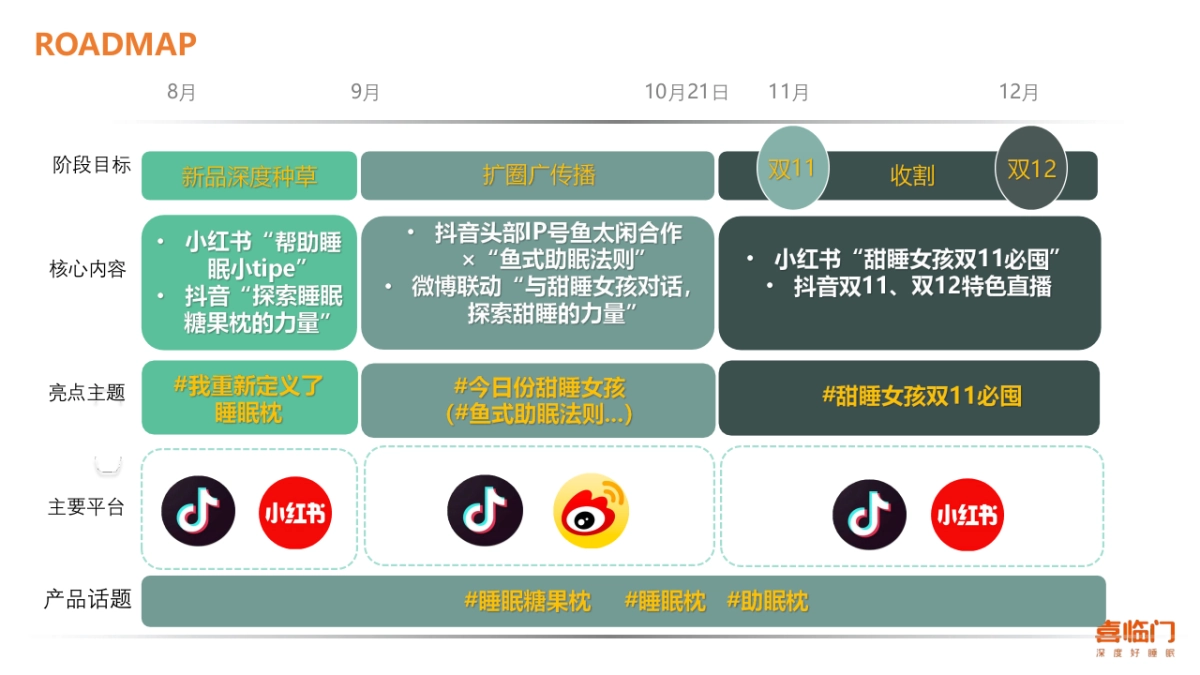 roadmap模板_第5页