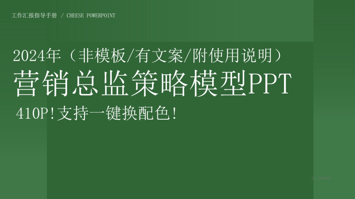 营销总监PPT模型_第1页
