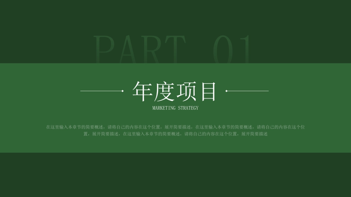 营销总监PPT模型_第3页