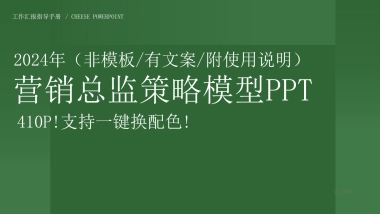 营销总监PPT模型